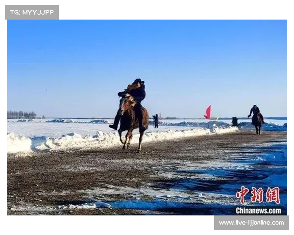 莫力达瓦端午赛马与冬季雪地赛马，传统体育活动与现代赛事交织